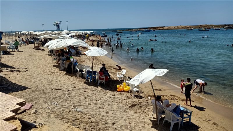 الإسكندرية