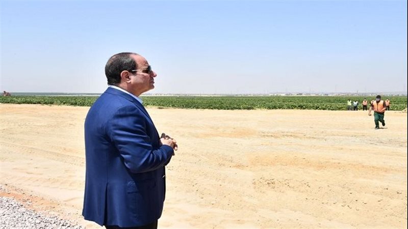 الرئيس عبد الفتاح