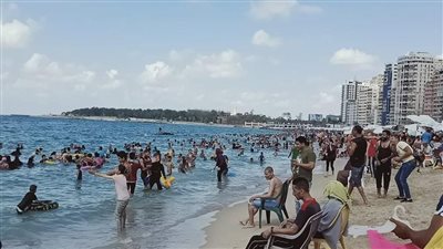 أخبار الإسكندرية اليوم: سقوط أمطار متوسطة على أنحاء المحافظة
