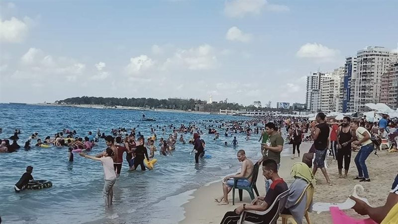 أخبار الإسكندرية