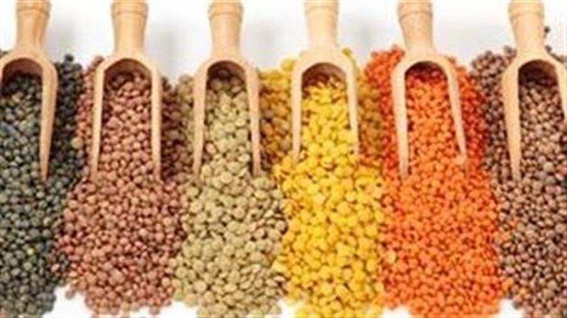 أسعار البقوليات بالقليوبية