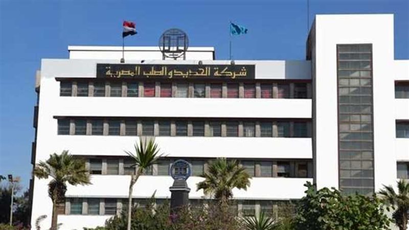 الحديد والصلب المصرية،