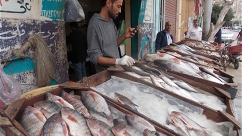 تفسير رؤية السمك