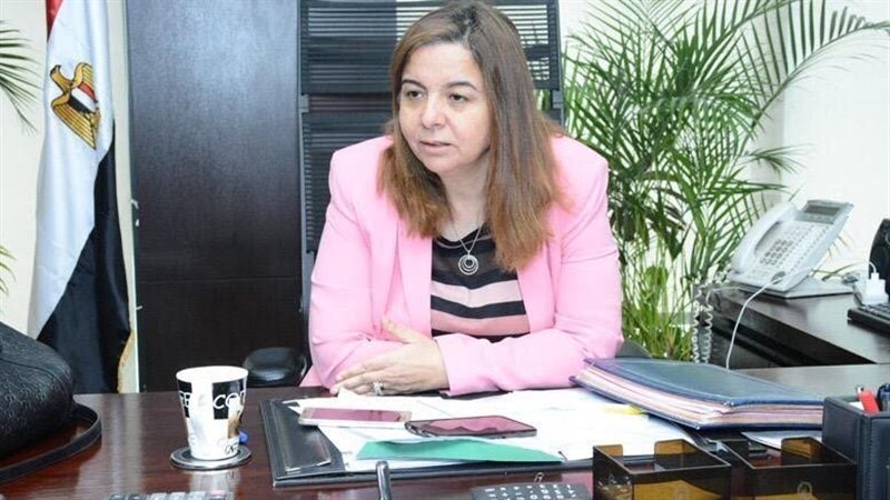 رئيس صندوق الإسكان