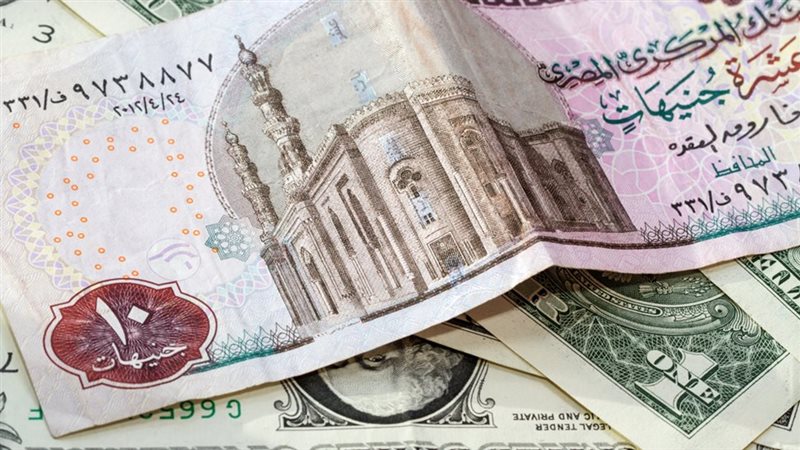 العملة المصرية، فيتو