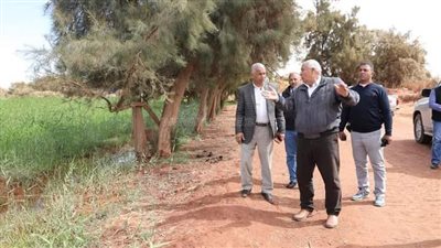 إنشاء محور الطريق الدائري (الجديدة - الداخلة) بالوادي الجديد
