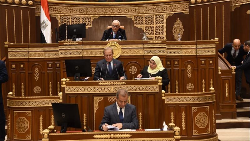 مجلس الشيوخ، فيتو