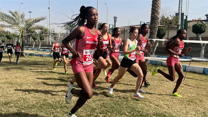 البطولة العربية لاختراق