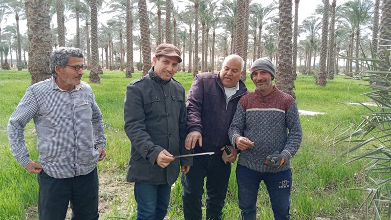انطلاق حملة مكافحة