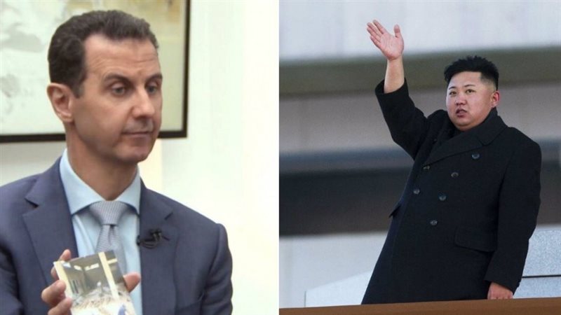 جونج والأسد، فيتو