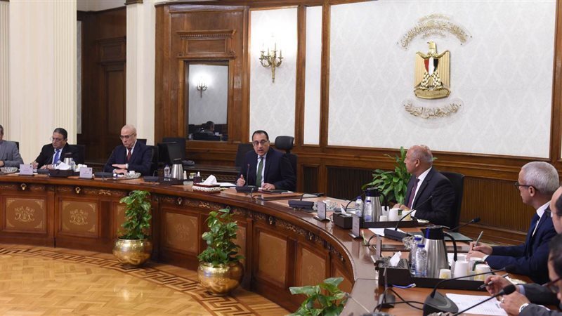 مجلس الوزراء ,فيتو