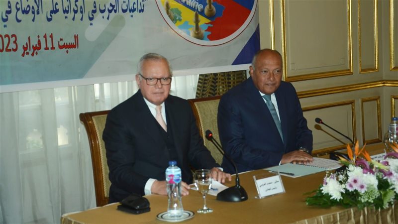 سامح شكري،فيتو