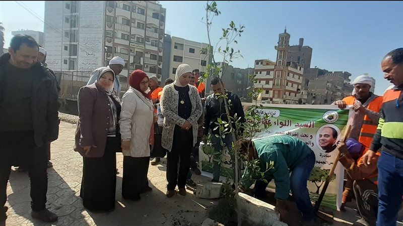 زراعة الأشجار في