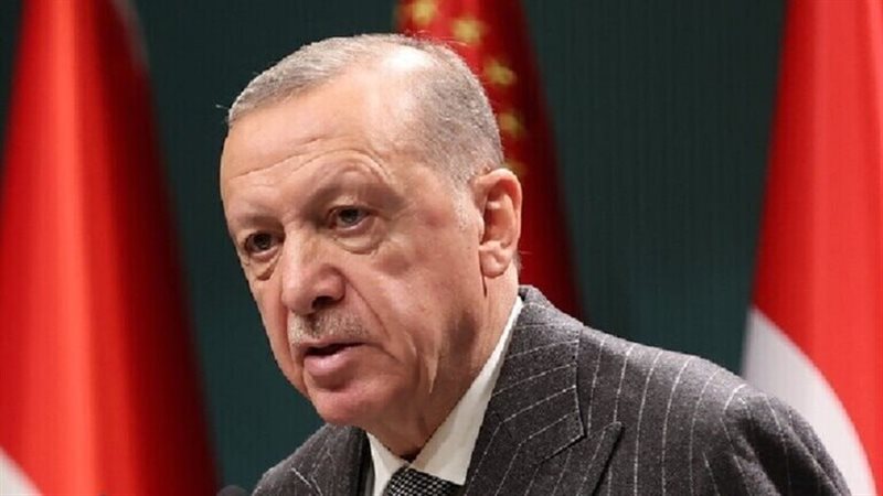 أردوغان، فيتو