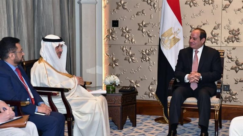 الرئيس السيسى، فيتو