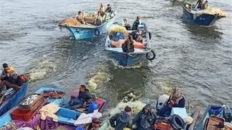 صيادوا المكس، فيتو