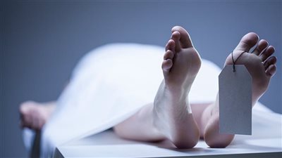 المدرسة تنقذ الابنة الكبرى من المذبحة الأسرية في المطرية 