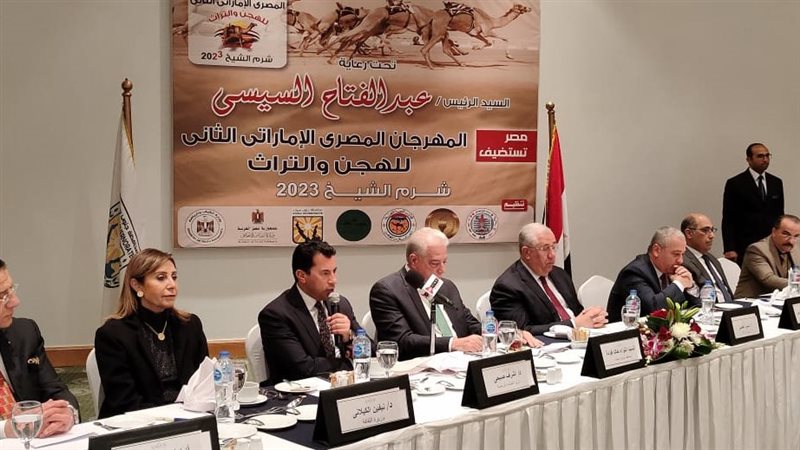 تفاصيل المهرجان المصري