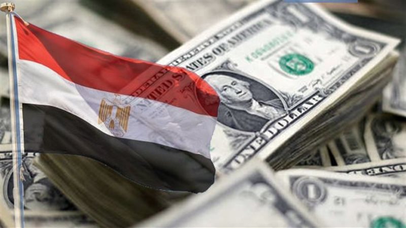 الدولار 
