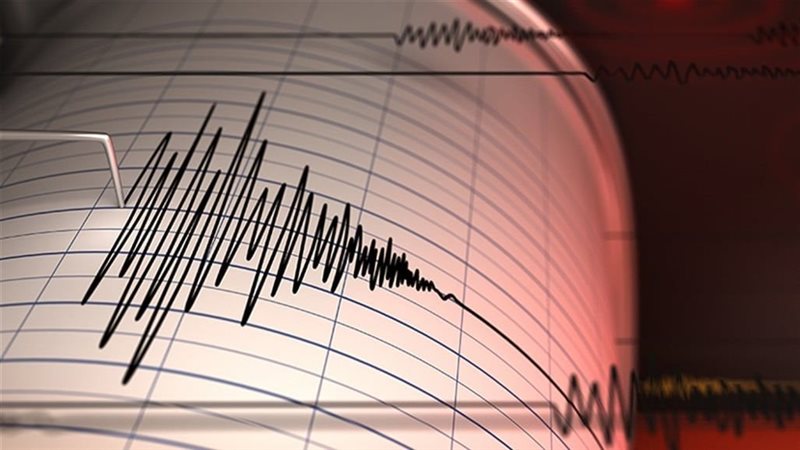 زلزال تركيا، فيتو