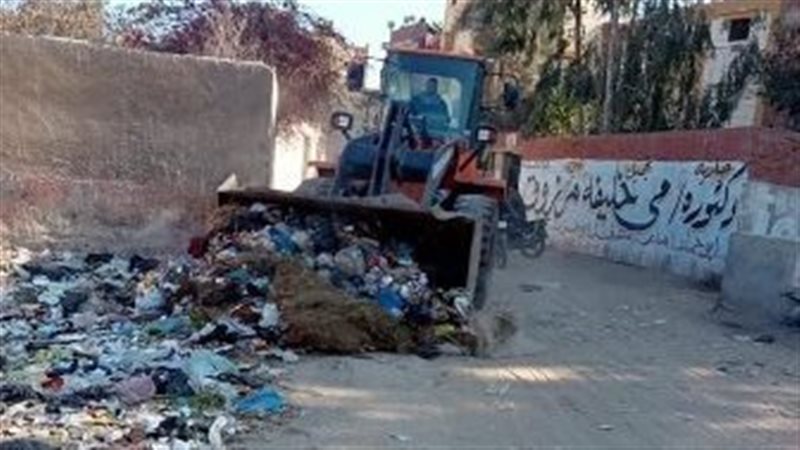 حملات النظافة والتجميل