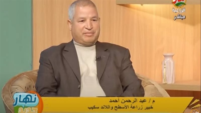 المهندس عبد الرحمن