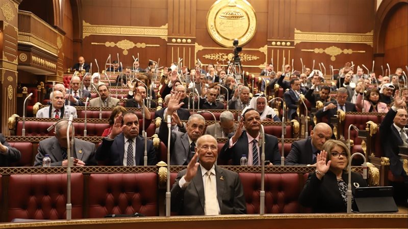 مجلس الشيوخ، فيتو