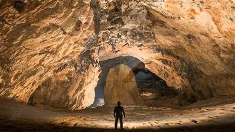 نقل مواد غذائية ومعدات
