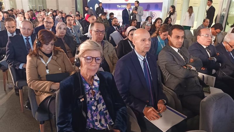 تنفيذ مشروع (اسرة)،فيتو