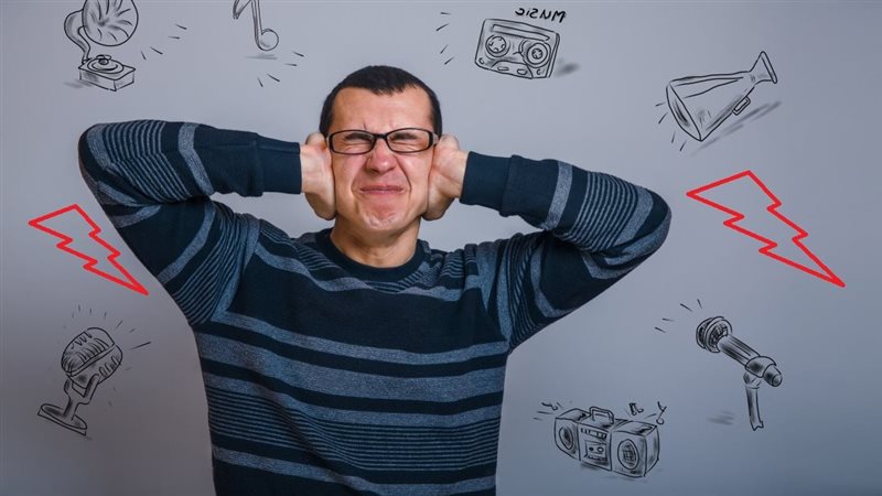 اضرار الضوضاء، فيتو