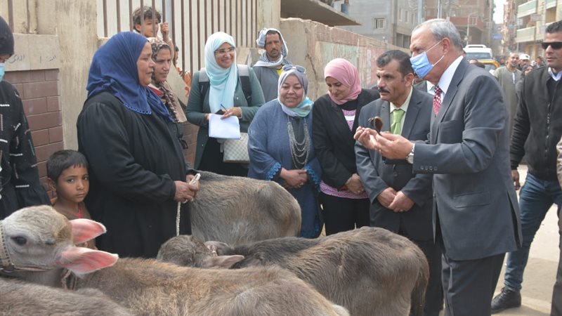 محافظ القليوبية،