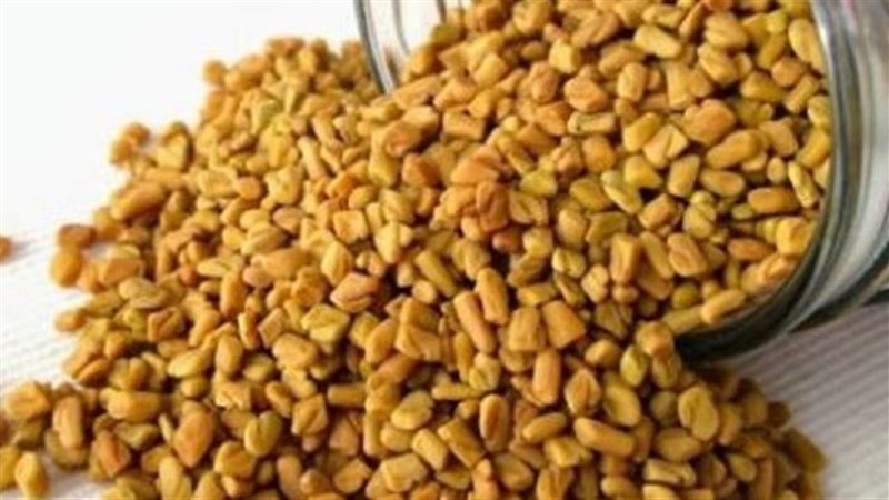 فوائد الحلبة الحصى،