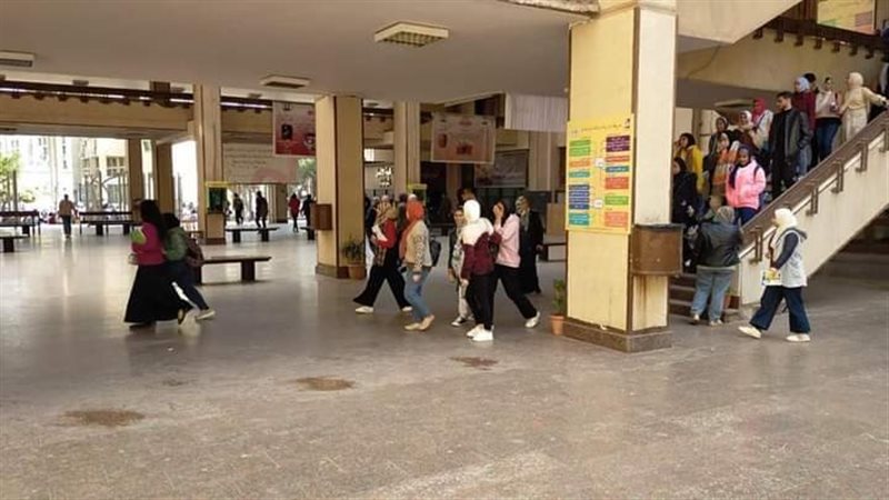 جامعة عين شمس، فيتو