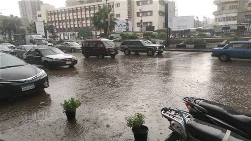 طقس الشرقية غدا،فيتو