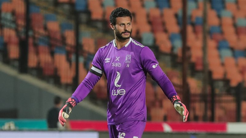 محمد الشناوي،فيتو