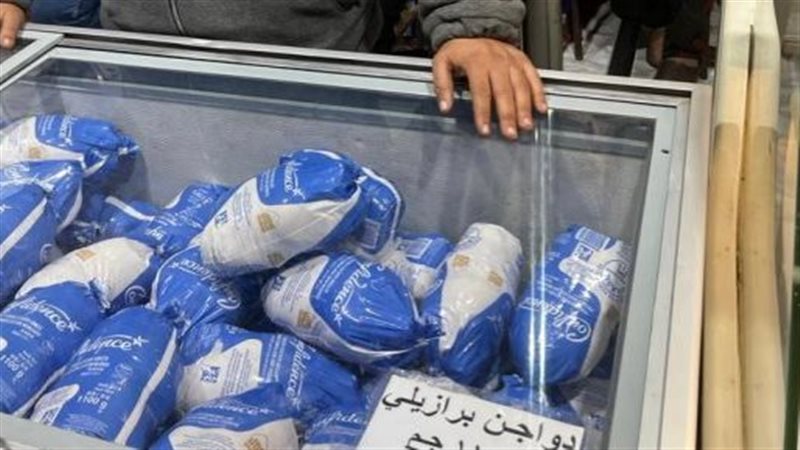 الدواجن المجمدة بالمجمعات