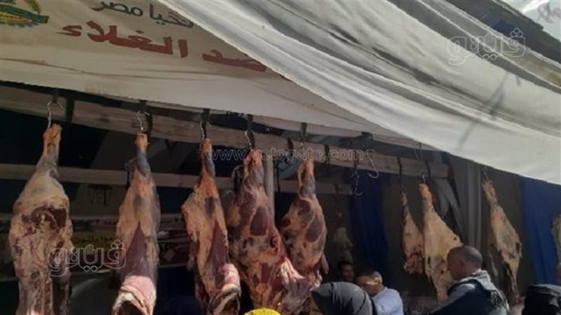 شراء لحوم العيد،
