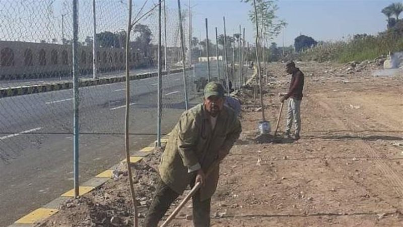 بدء زراعة 100 ألف
