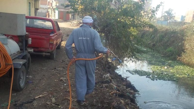 استمرار مكافحة الحشرات