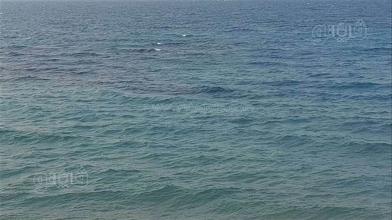 تغيير لون بحر الإسكندرية،