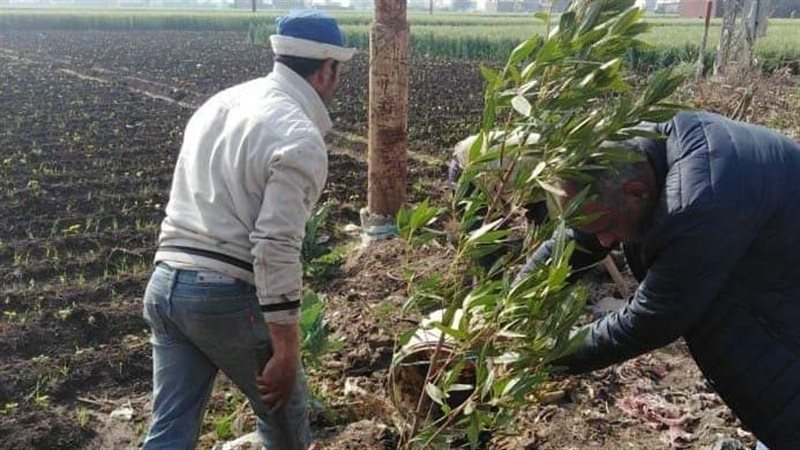 مبادرة 100 مليون