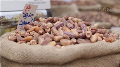  تعرف على أسعار بلح وياميش رمضان 2023 في سوق الساحل (فيديو و صور)