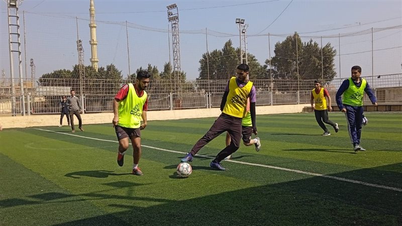  طب بيطري بنها، فيتو