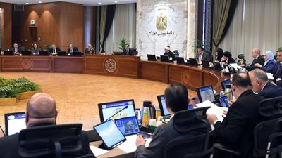 الحكومة تعلن حظر تحول الجامعات الأهلية إلى خاصة 
