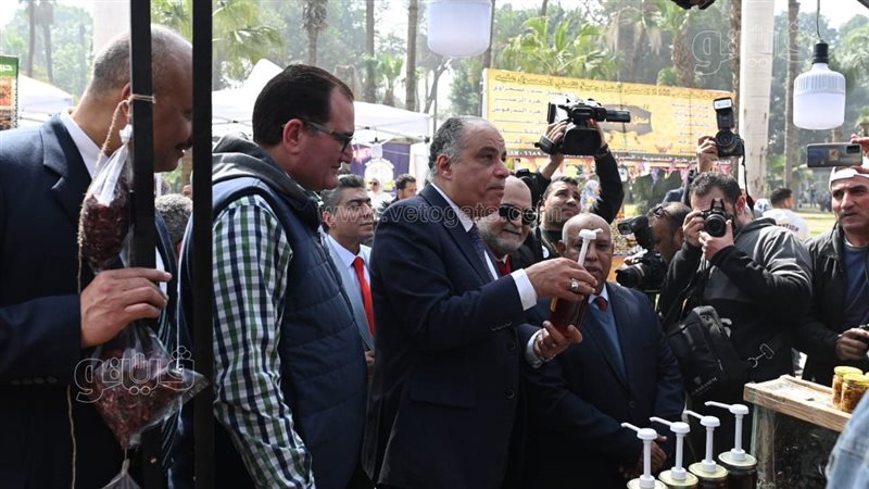  مهرجان القاهرة الدولي،