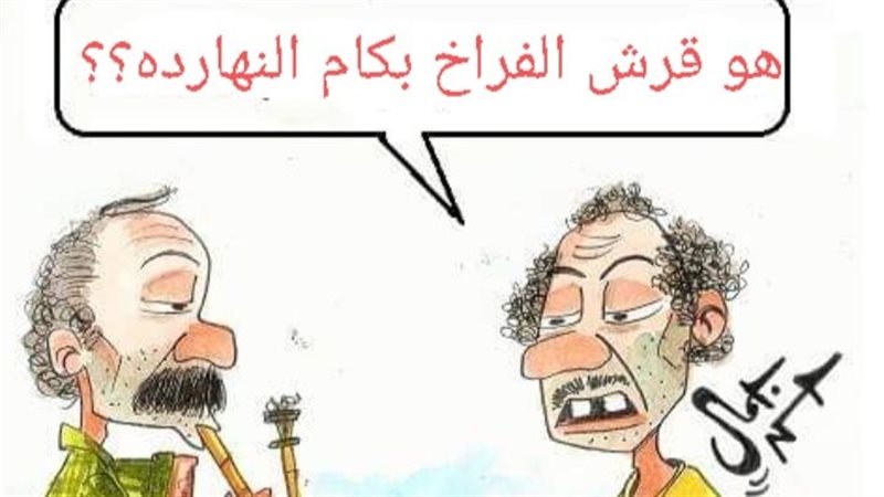 ارتفاع اسعار الفراخ