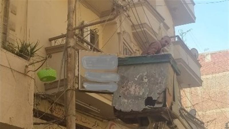 ازالة 152 اعلان خلال