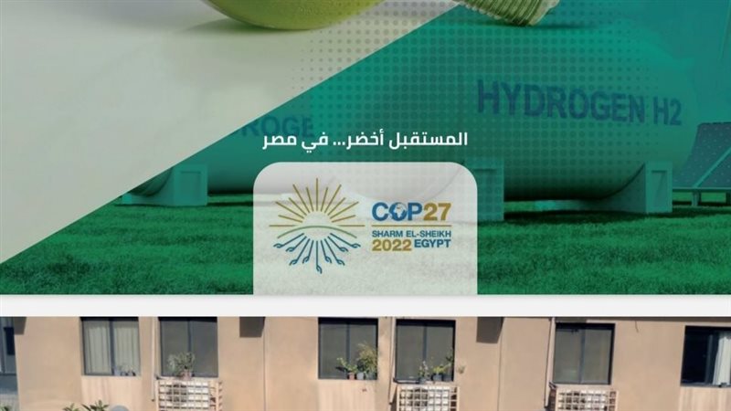 التقرير السنوي لهيئة
