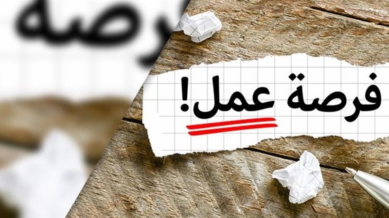 توفير ٥٤٧٣٦ فرصة