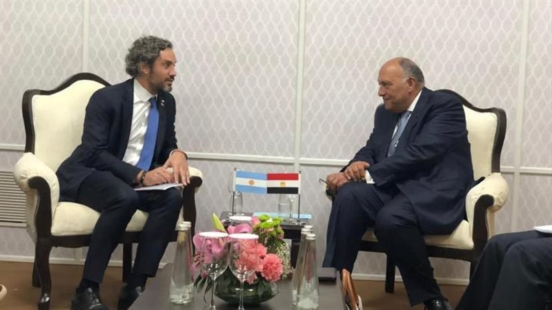سامح شكرى وزير الخارجية